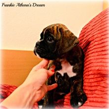 7 weeks